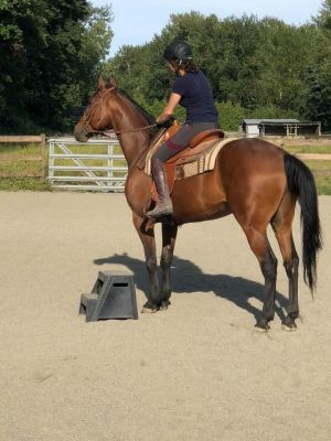 64589166 2355049601208565 3463937978022232064 n